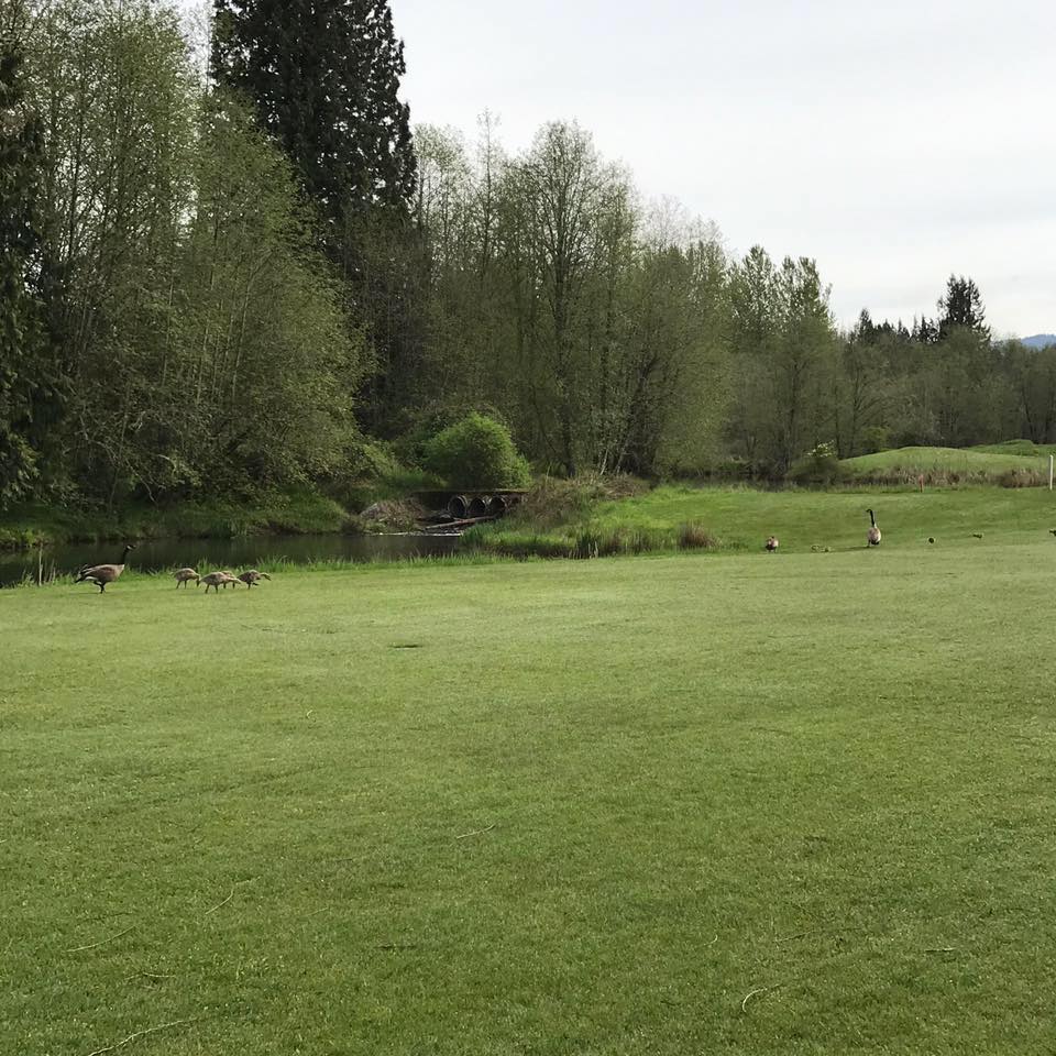 The Cedars on Salmon Creek 8