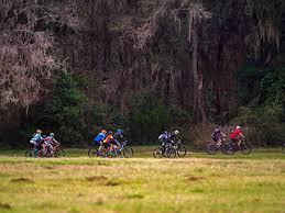 San Felasco Hammock Preserve State Park 6