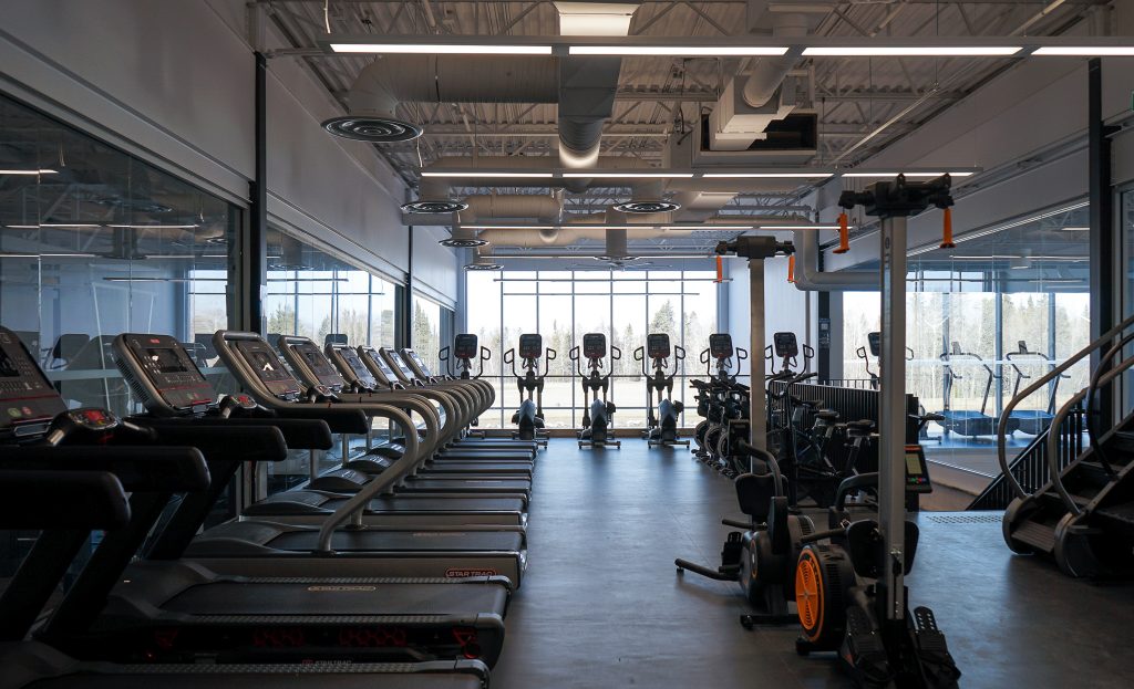 lakehead university thunder bay wolf den.jpg