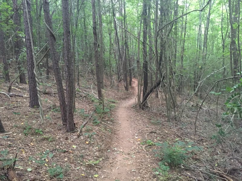 Haw Creek Park3