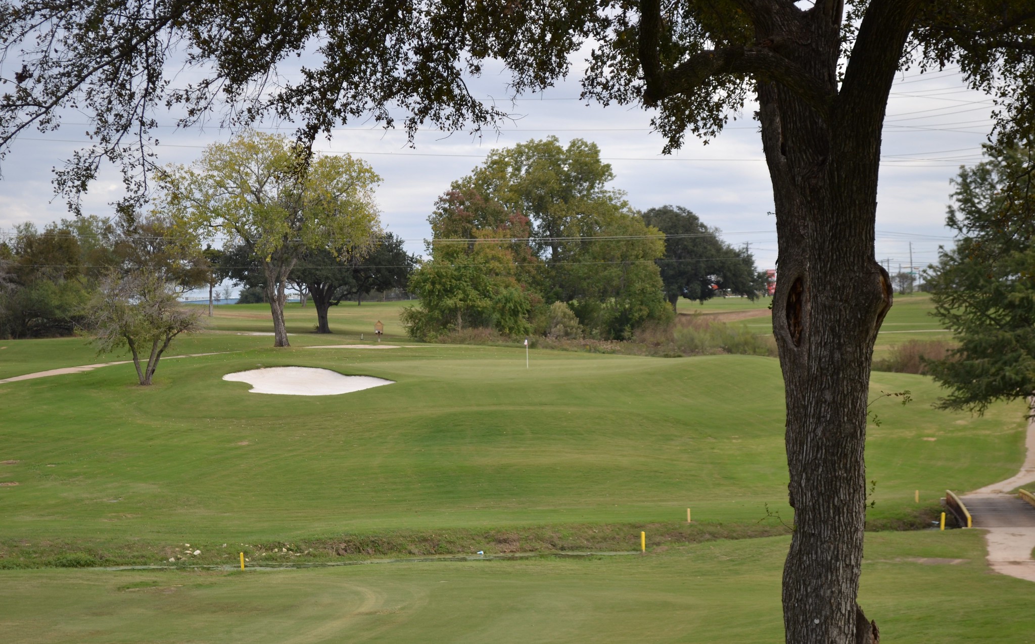 Morris Williiams Golf Course (4)
