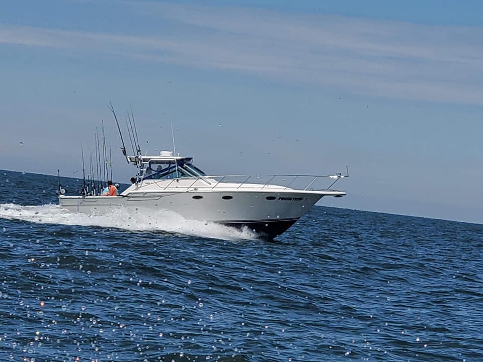 Bending Limits Sportfishing Charters7