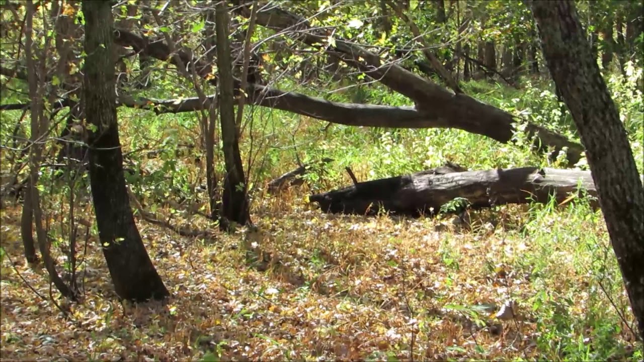 Kuhn Wildlife Area