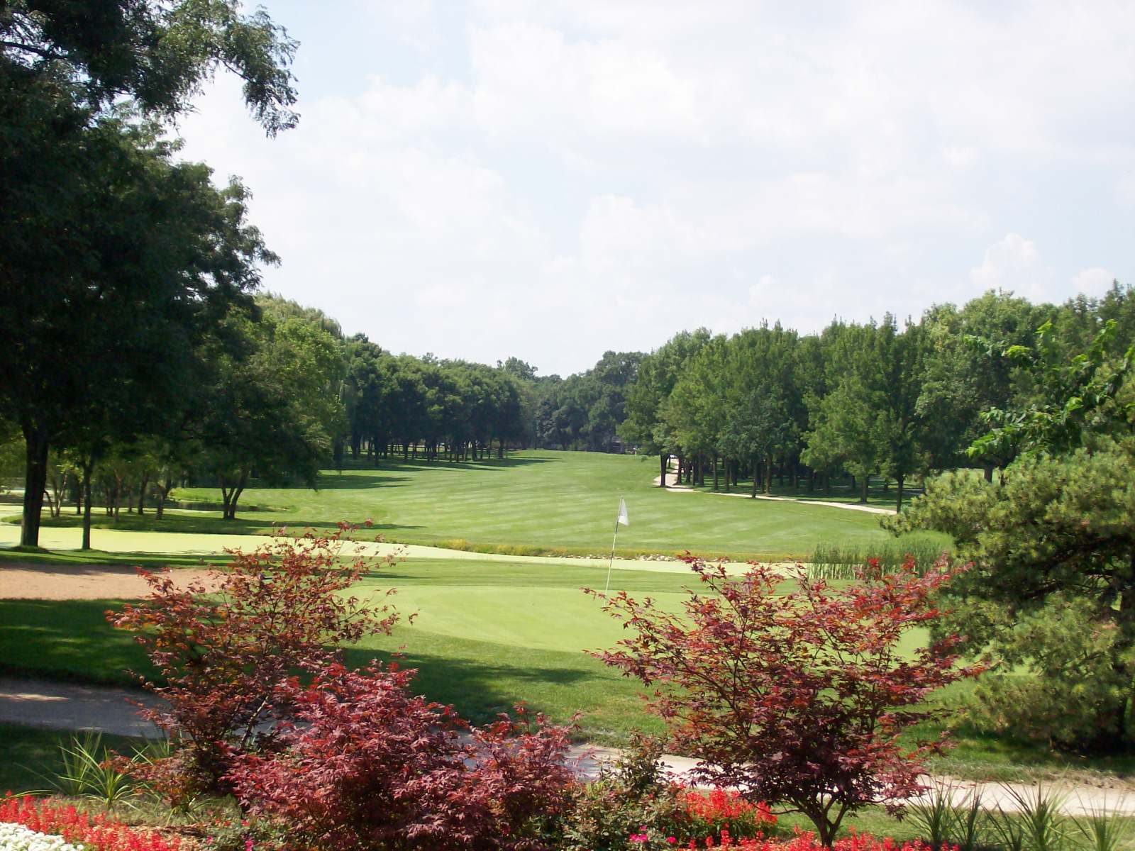 White Pines 3.jpeg