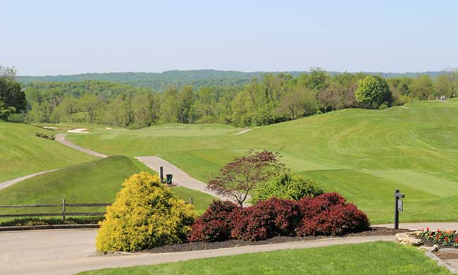 Greystone 1