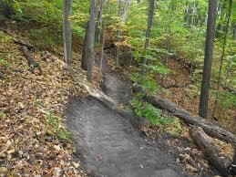 Cedar River Natural Area 2