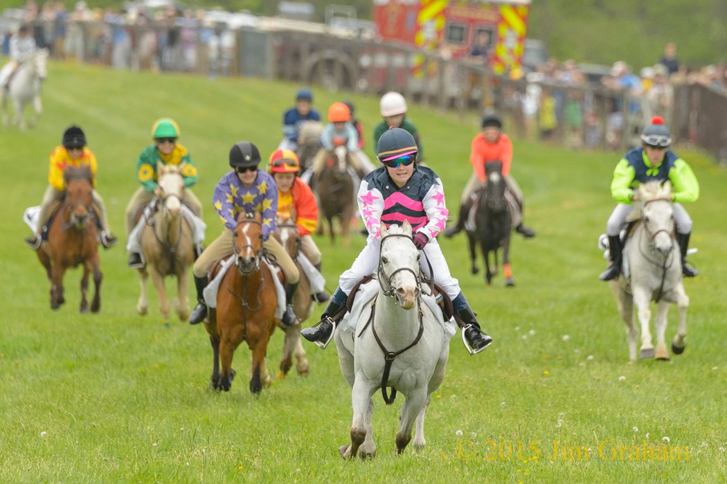 The Willowdale Steeplechase6