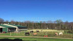 West Meadow Farm 2