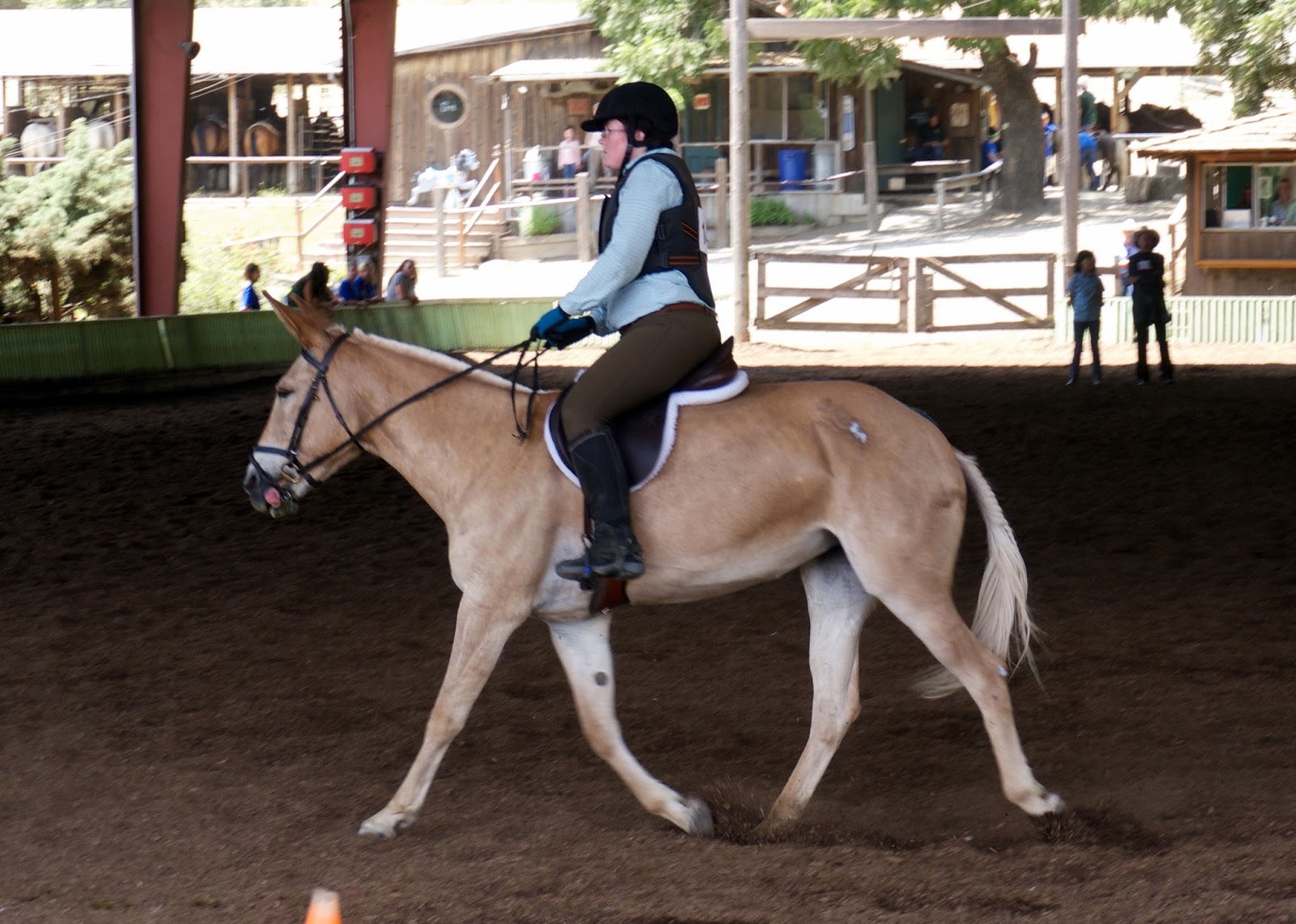 Garrod Farms and Stables 3