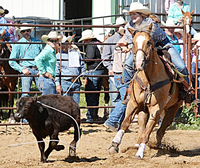Derby Downs 2