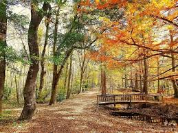Jeffries Creek Park 6