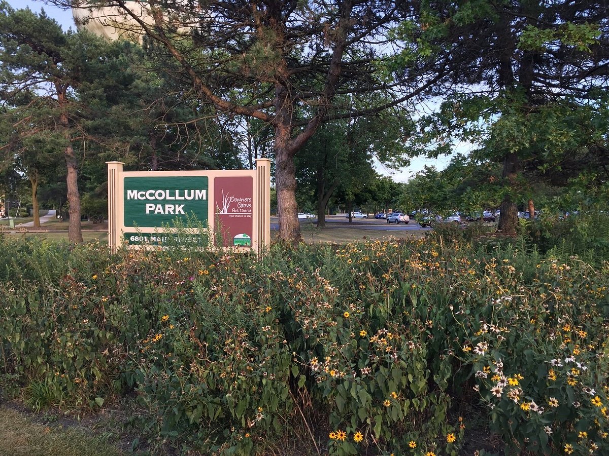 McCollum Park5.jpeg