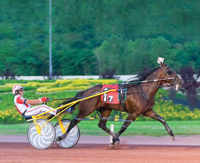 Downs at Mohegan Sun Pocono Harness Racing 4