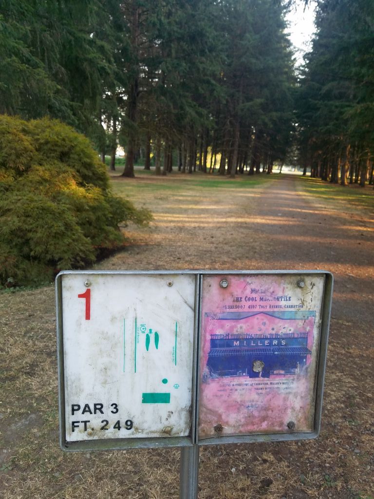 Ferguson Park Disc Golf4