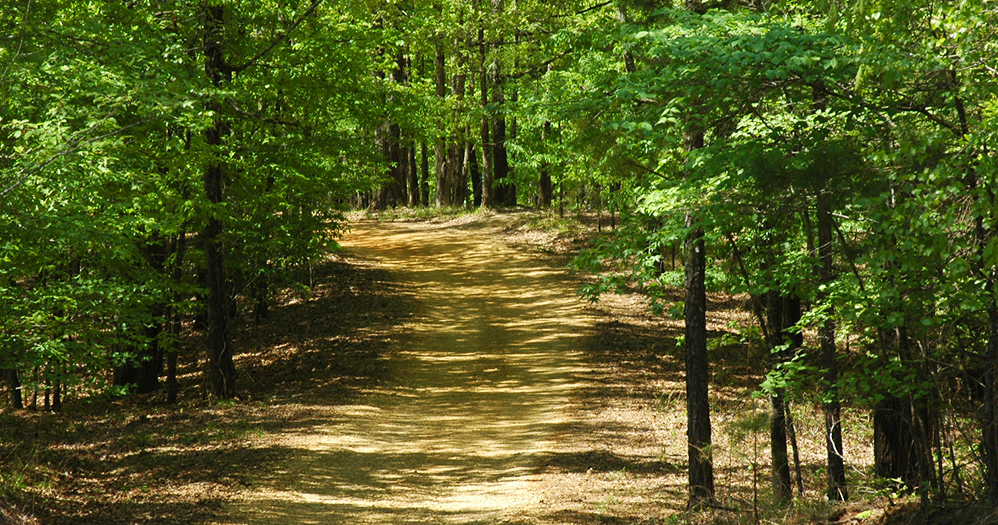 Trace State Park 4