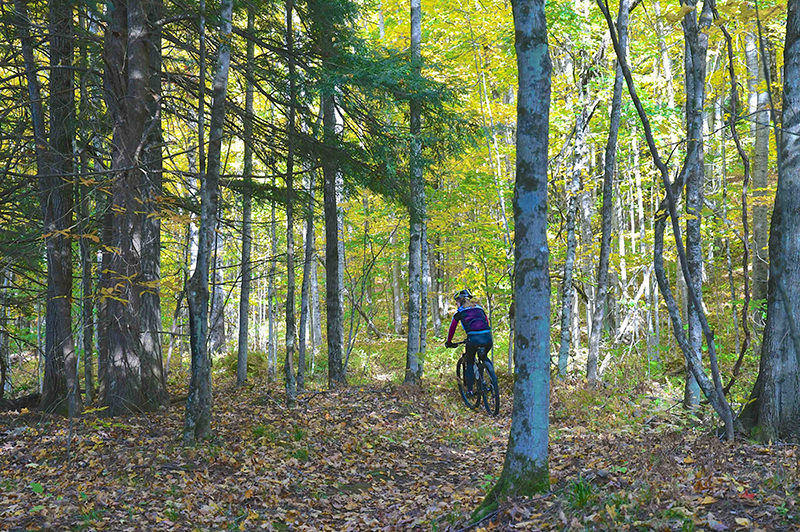 betsie river pathway 6