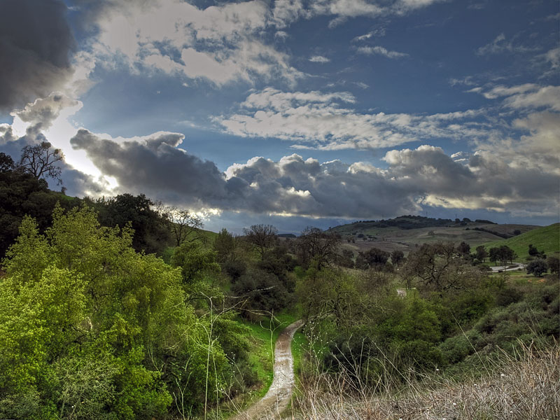 Santa Teresa County Park5