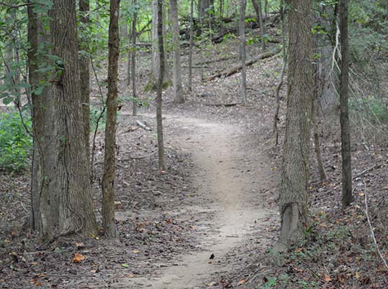 Haw Creek Park5