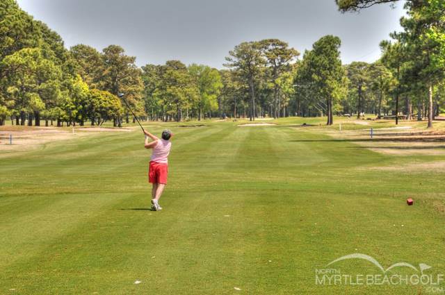 azalea sands 4