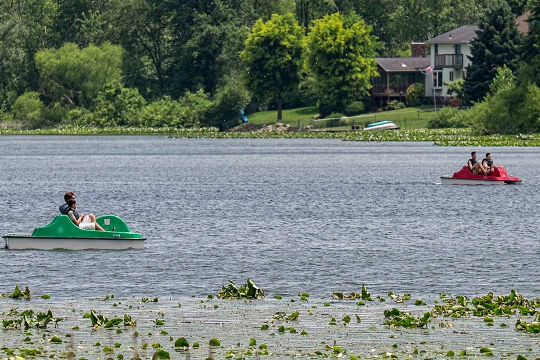 sippo lake park 6