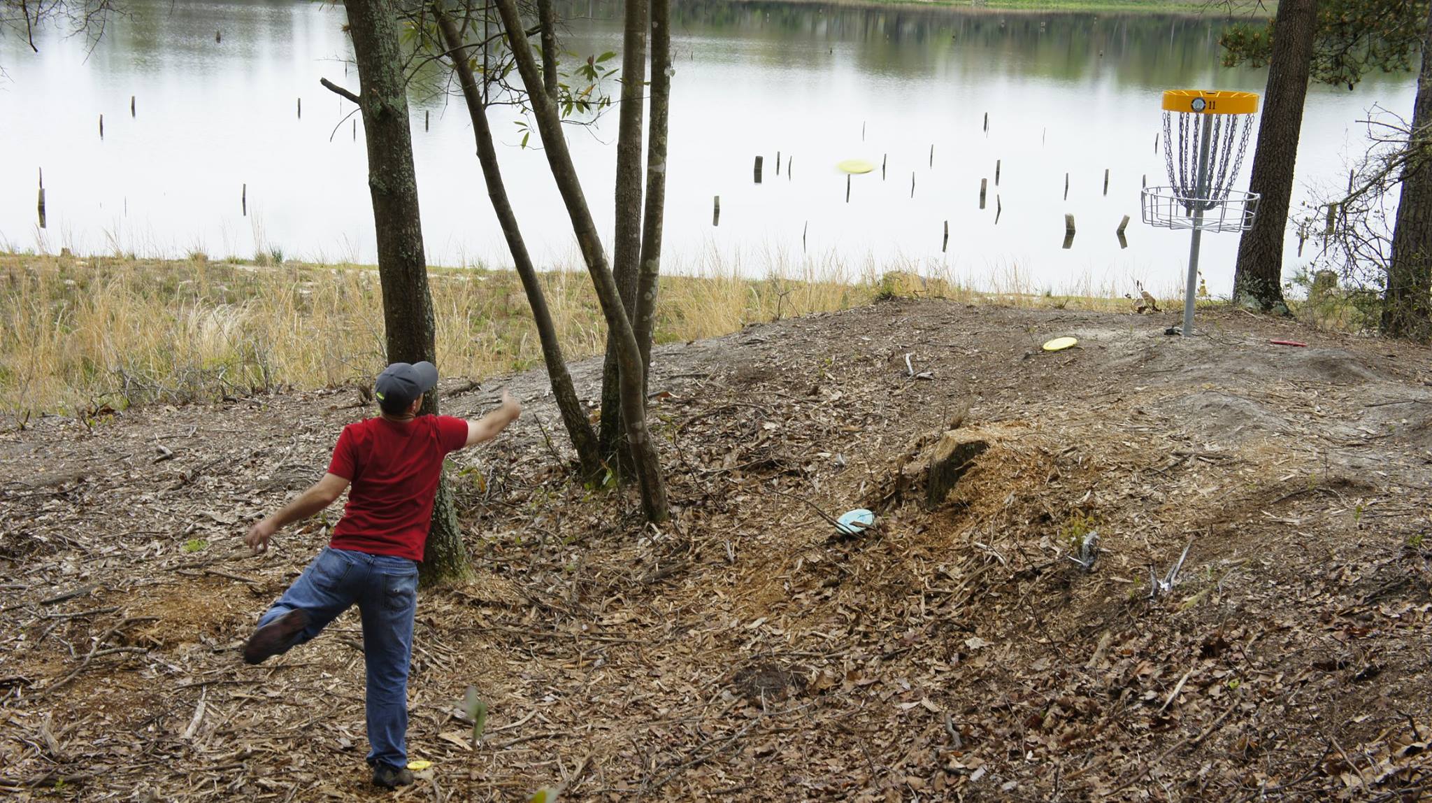 Langley Pond Park 6