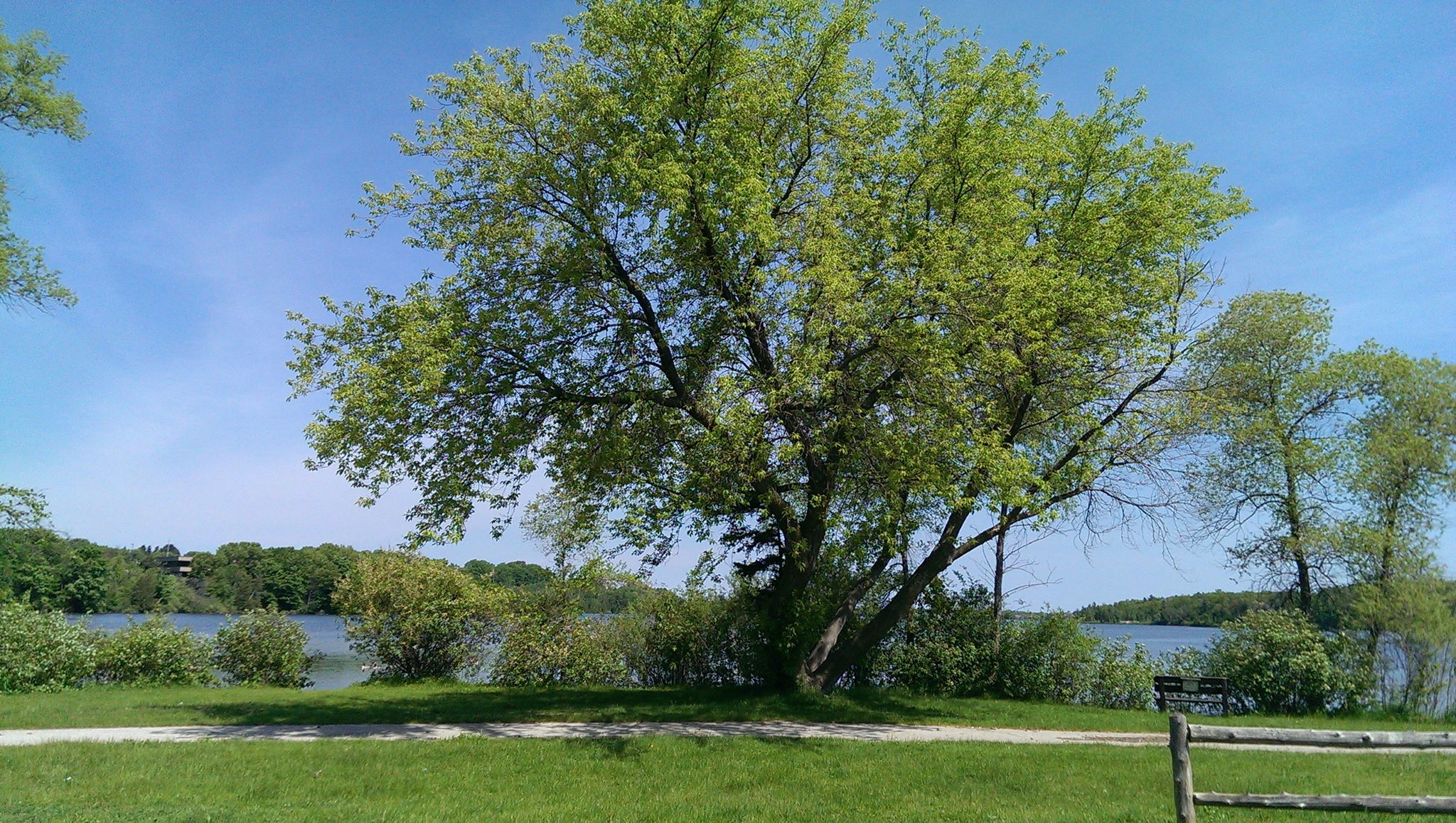 Medalie Park8
