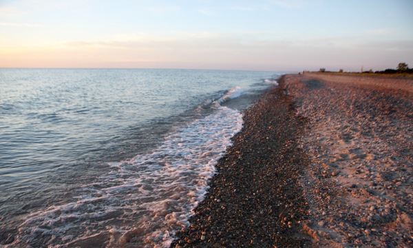 Illinois Beach State Park 1