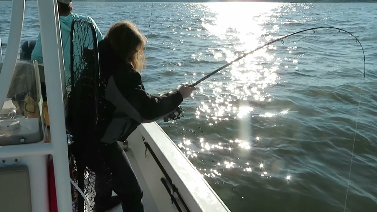 The Bayrunner 4