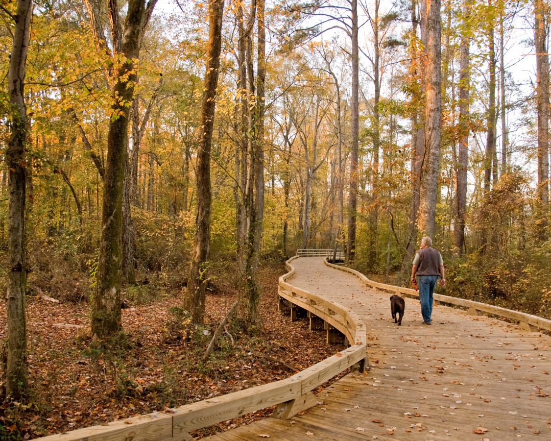 Big Creek Greenway Trailhead 5