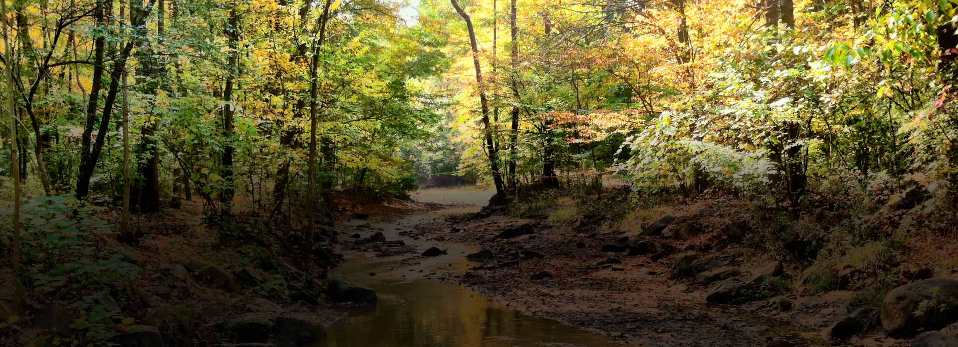 summit metro parks.jpeg