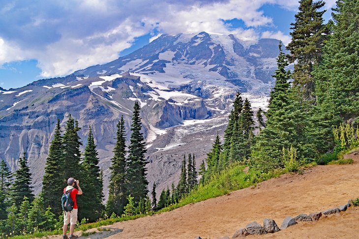 Mount Rainier National Park 4