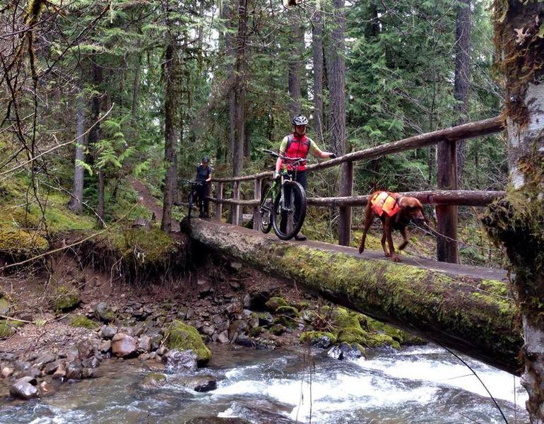 Middle Fork Willamette Trail 1