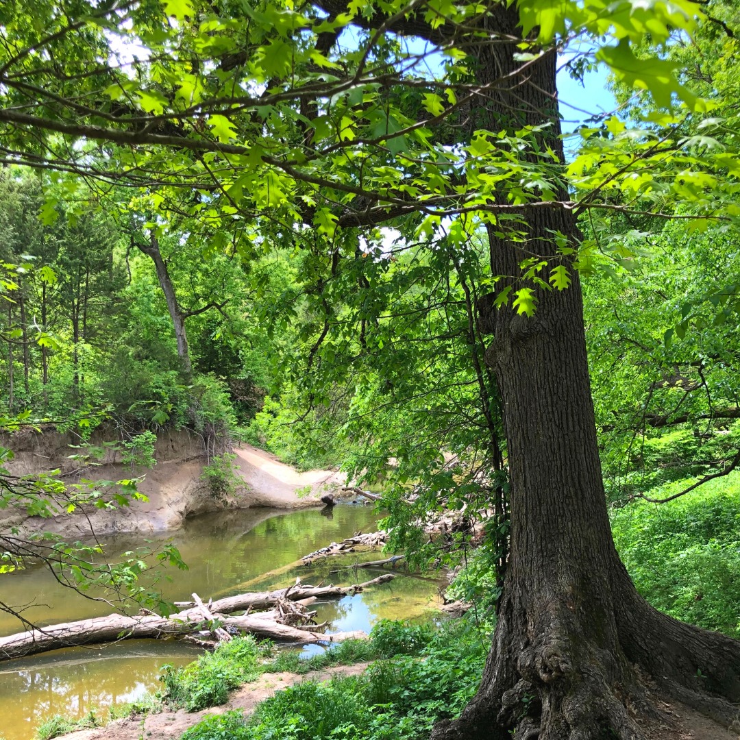 Water photo-Spring Creek Forest Preserve