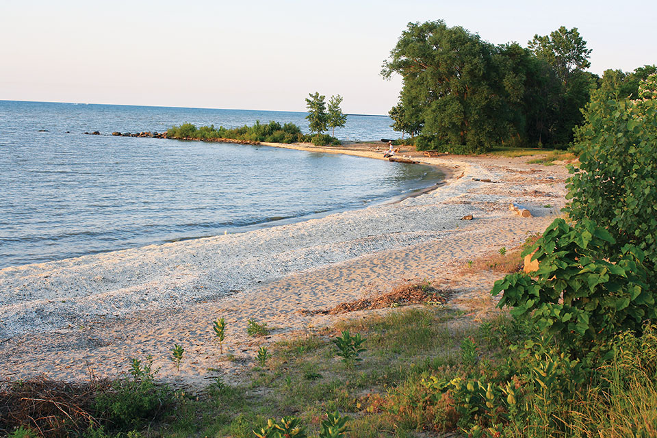 Sherod Park 6