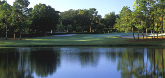 Lansbrook Golf Club 6