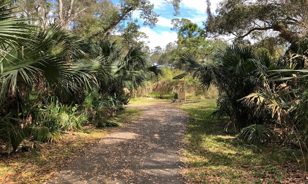 Canopy Shores Park4