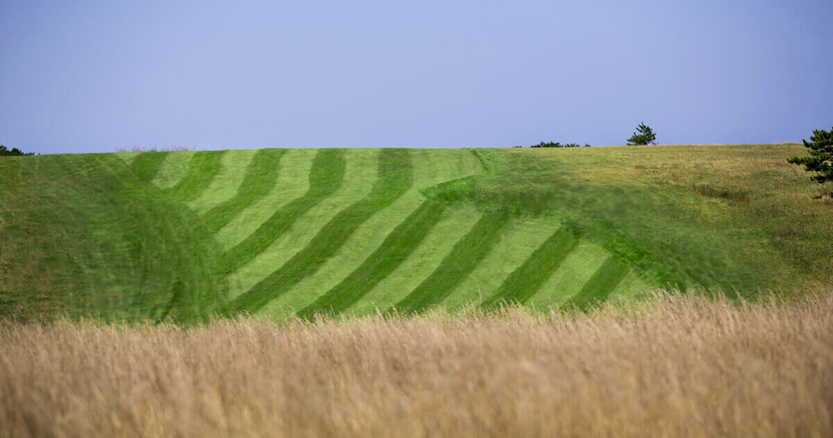 Highland Golf Links Cape Cod6