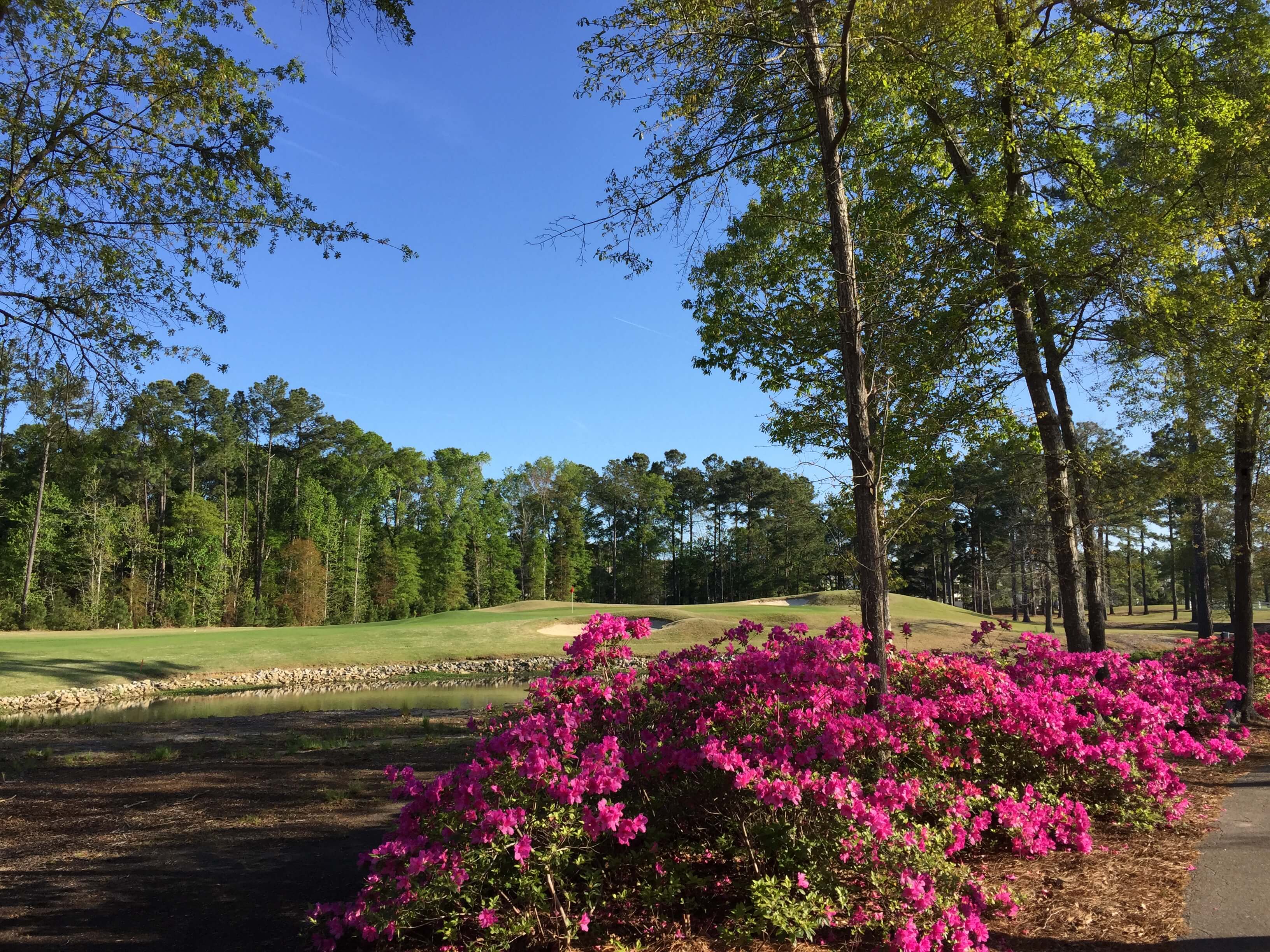 River Oaks Golf Club4