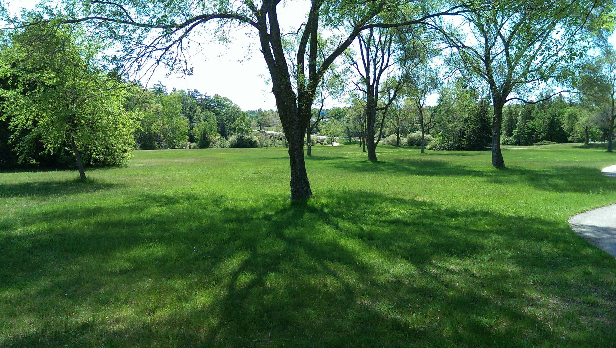 AnyConv.com__Medalie Park3