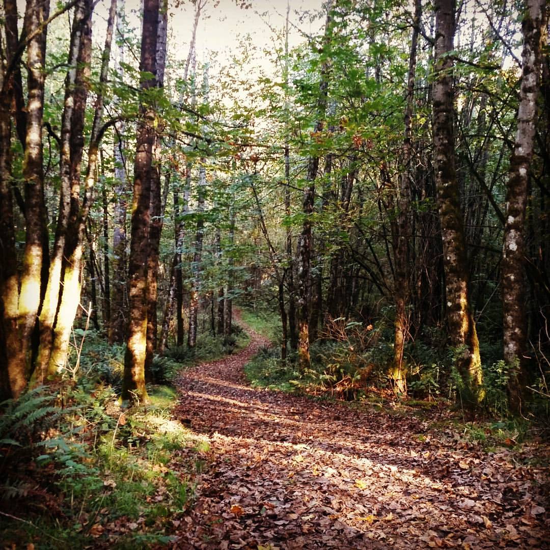 Lord Hill Regional Park11