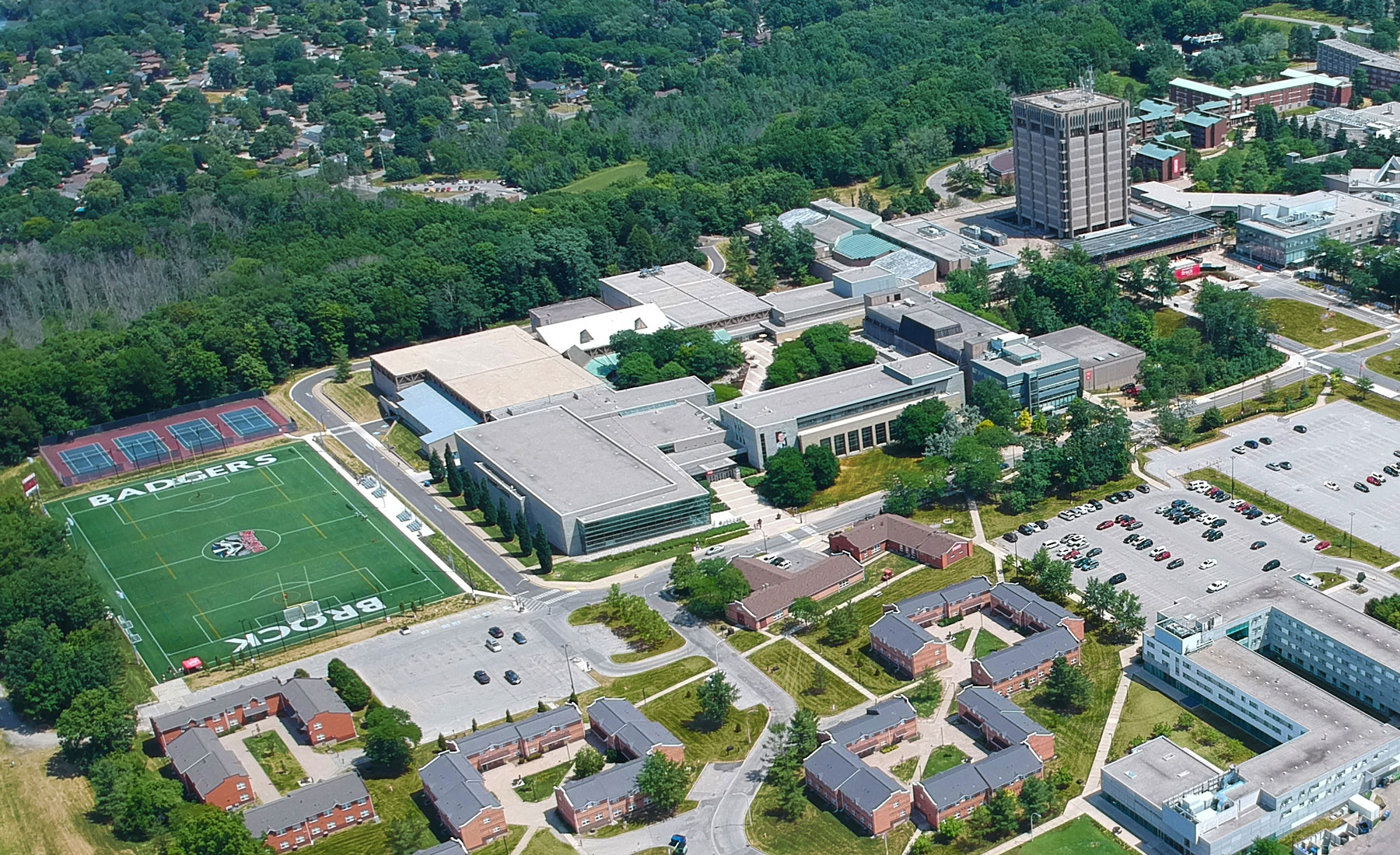 turf-1.jpg