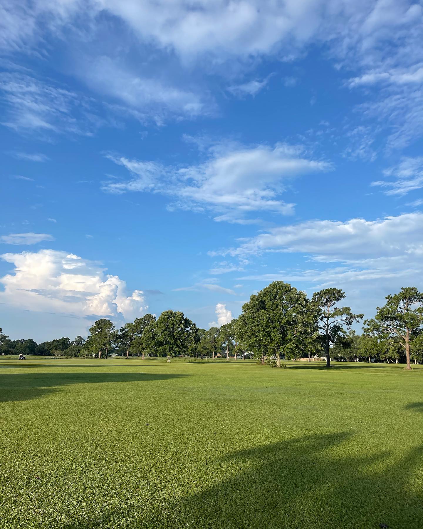 golf.jpg