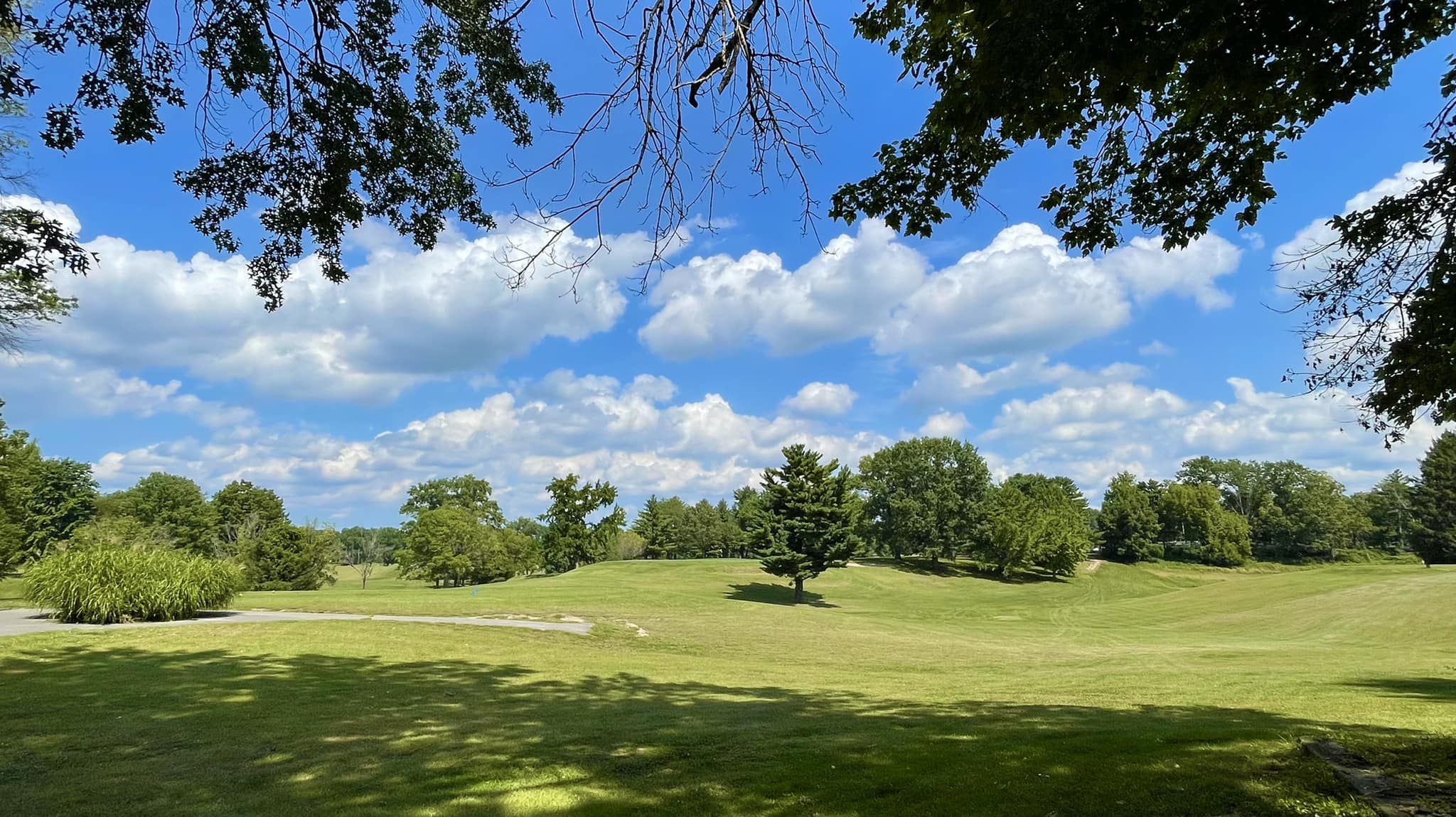 fairways.jpg