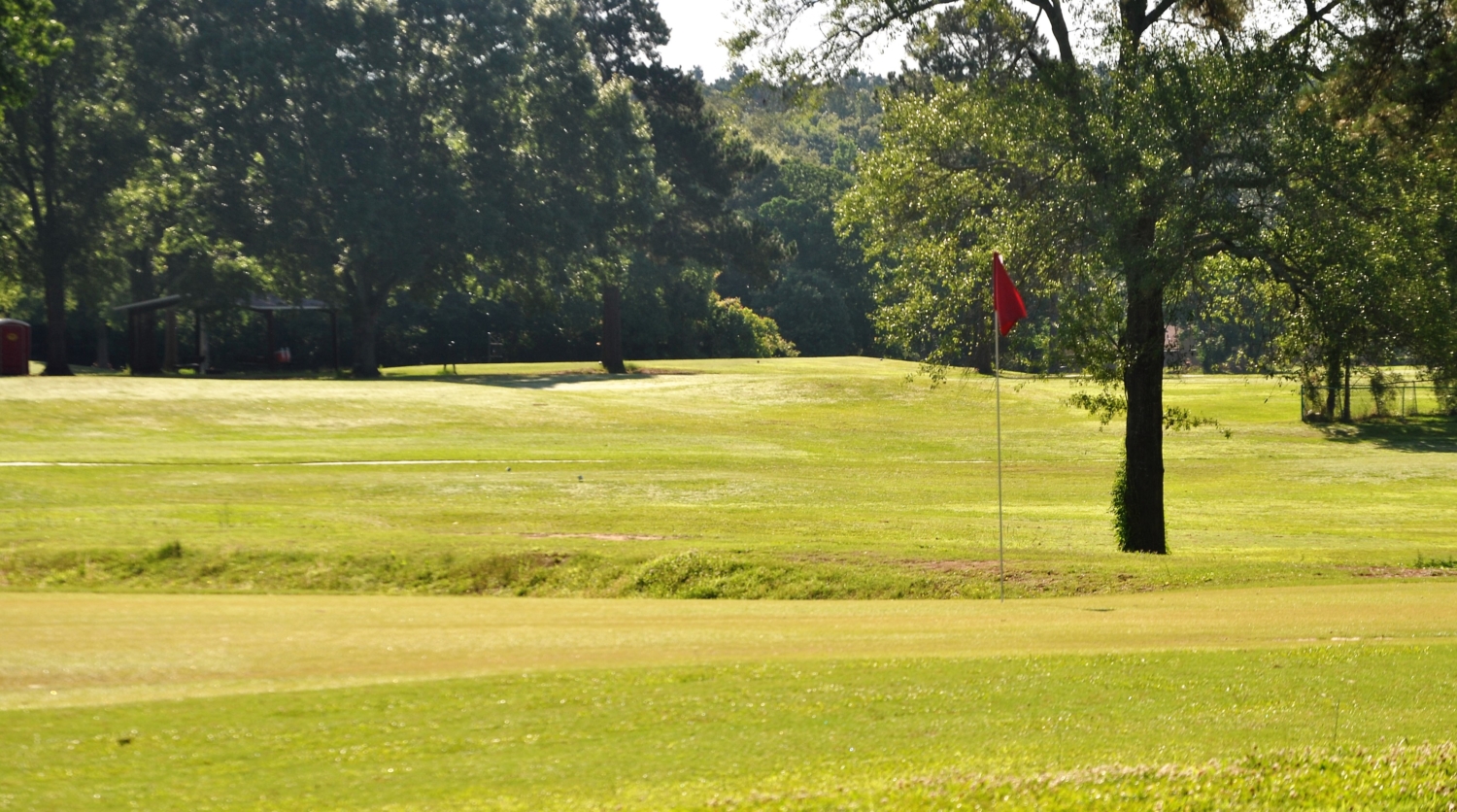 Querbes Park Golf Course6