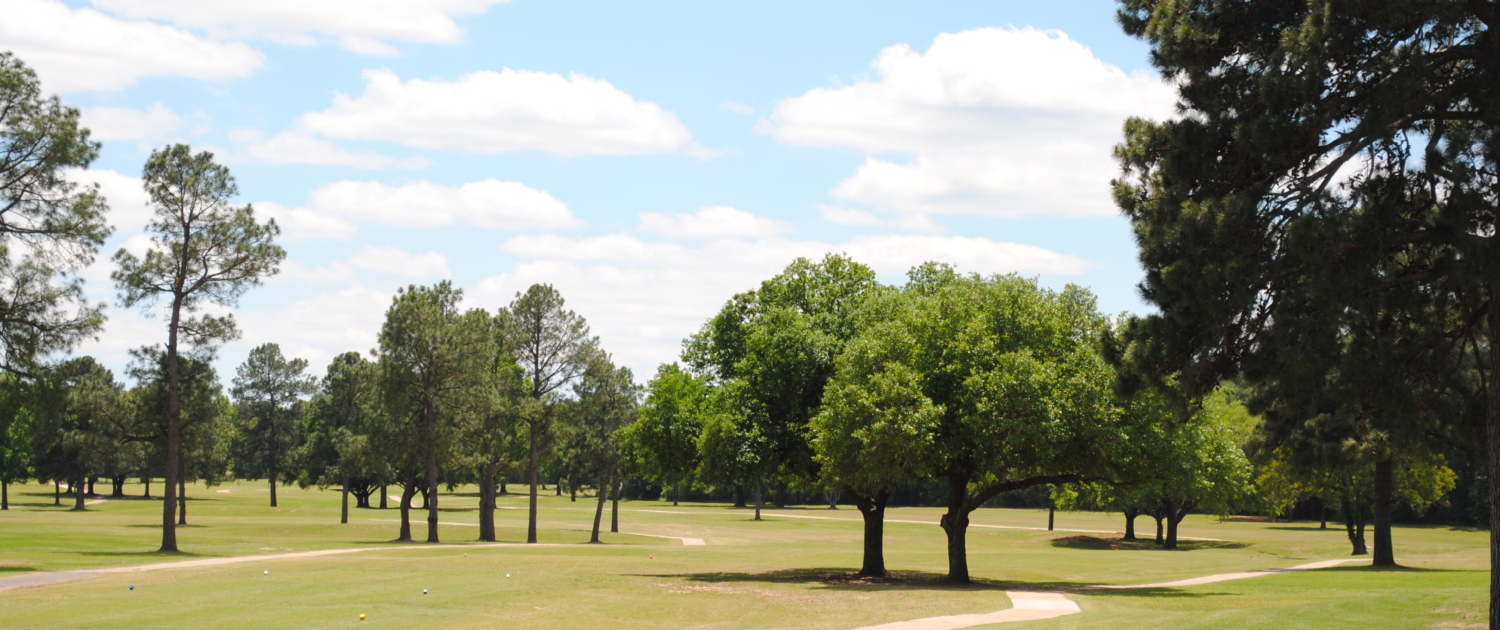 Querbes Park Golf Course3