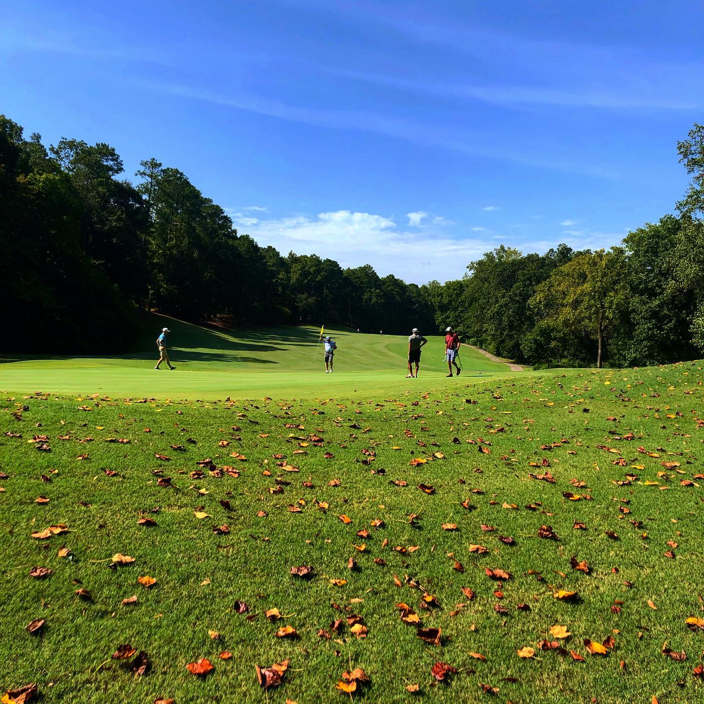 Riverchase Country Club6