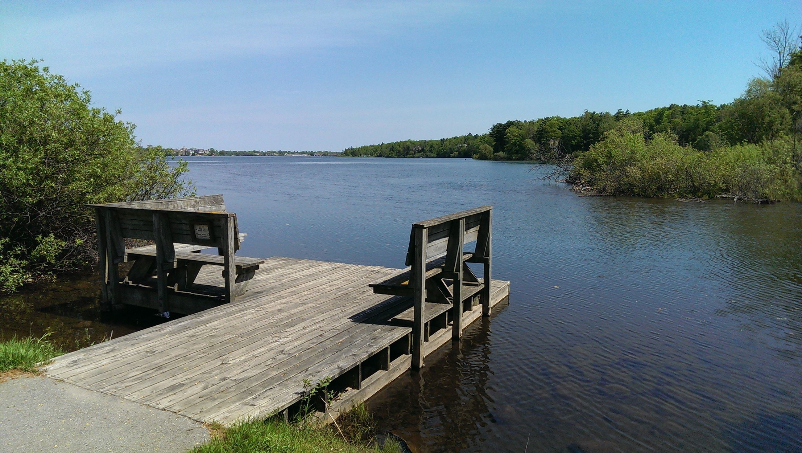 AnyConv.com__Medalie Park5
