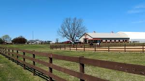 Oak Hill Farm & Stables md