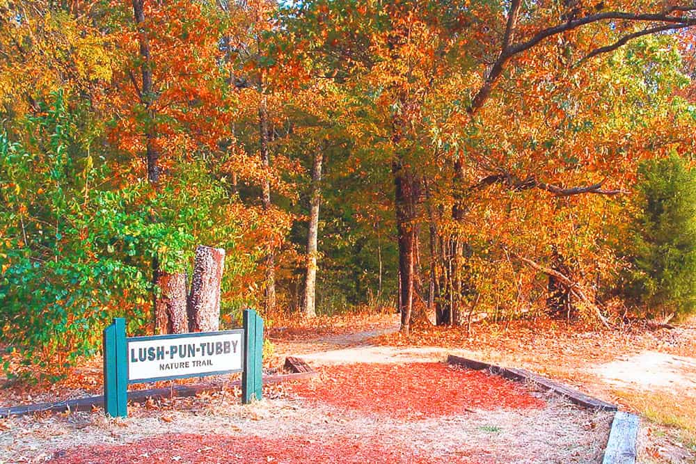 Olive Branch City Park4