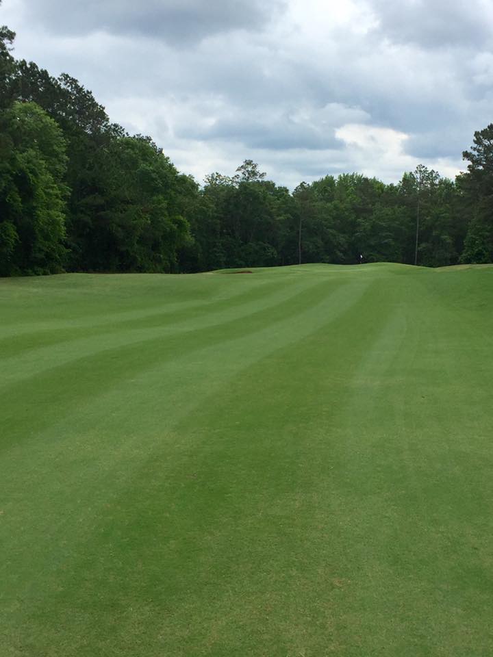 Cheraw State Golf Course 5